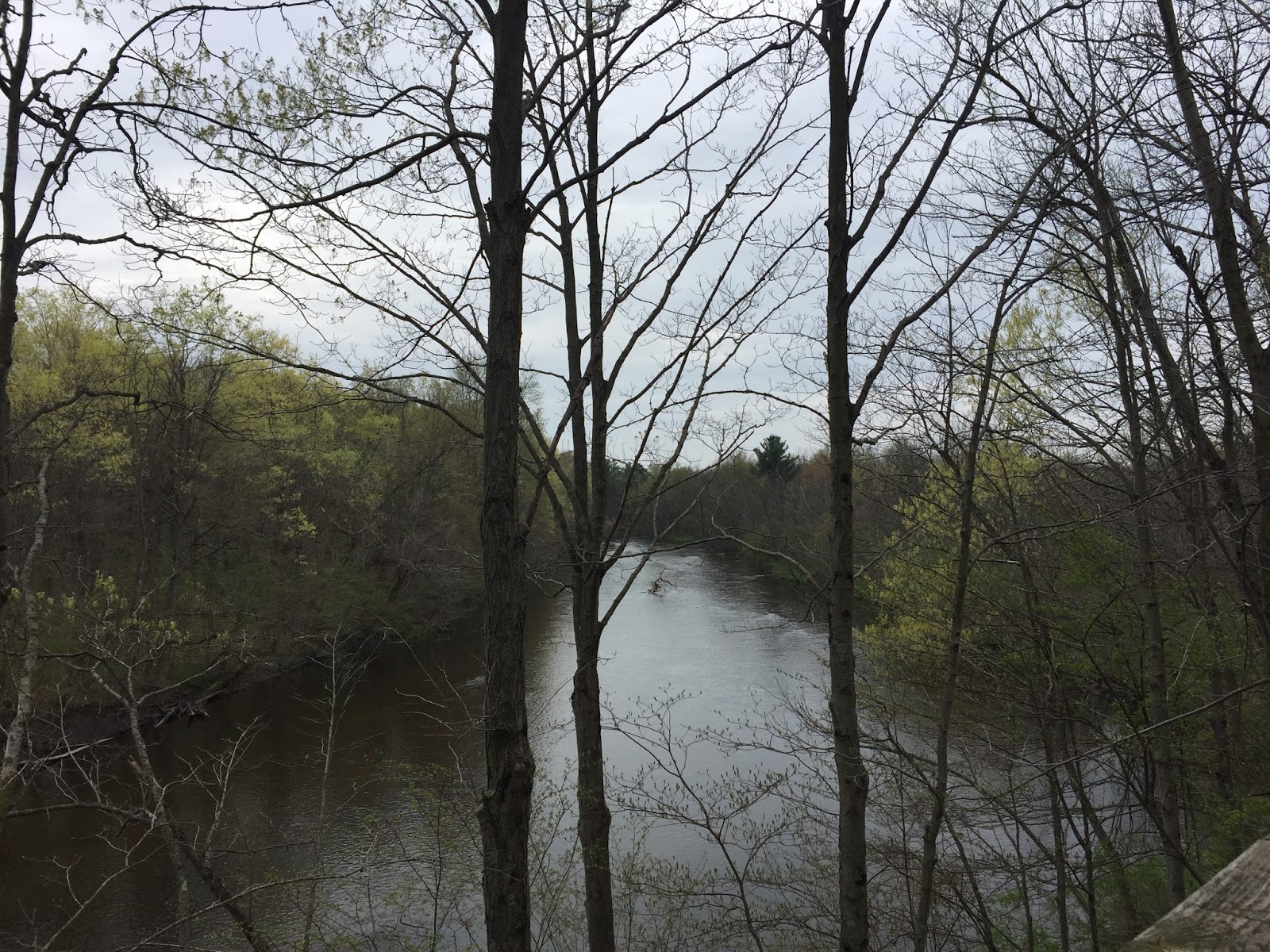 Travel Reviews & Information White Pine Trail and West Michigan