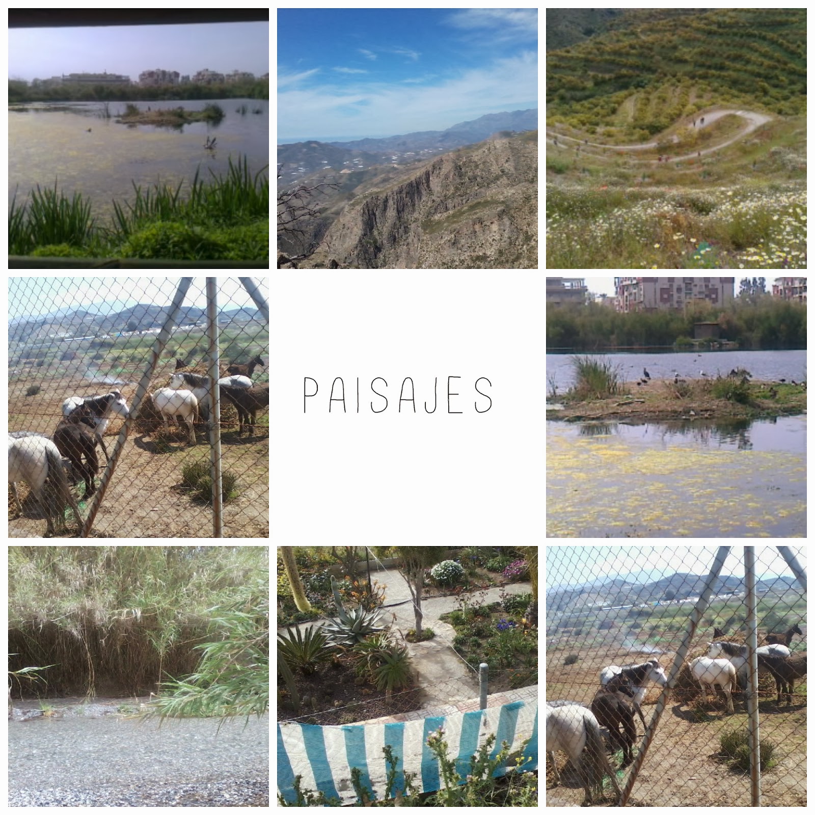 LOS DOCE JARDINEROS: CURSO DE SENDERISMO Y PLANTAS MEDICINALES