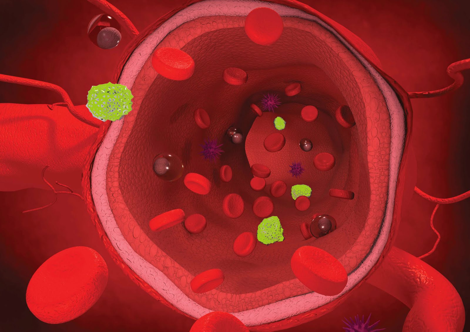 el atun es malo para prostatitis