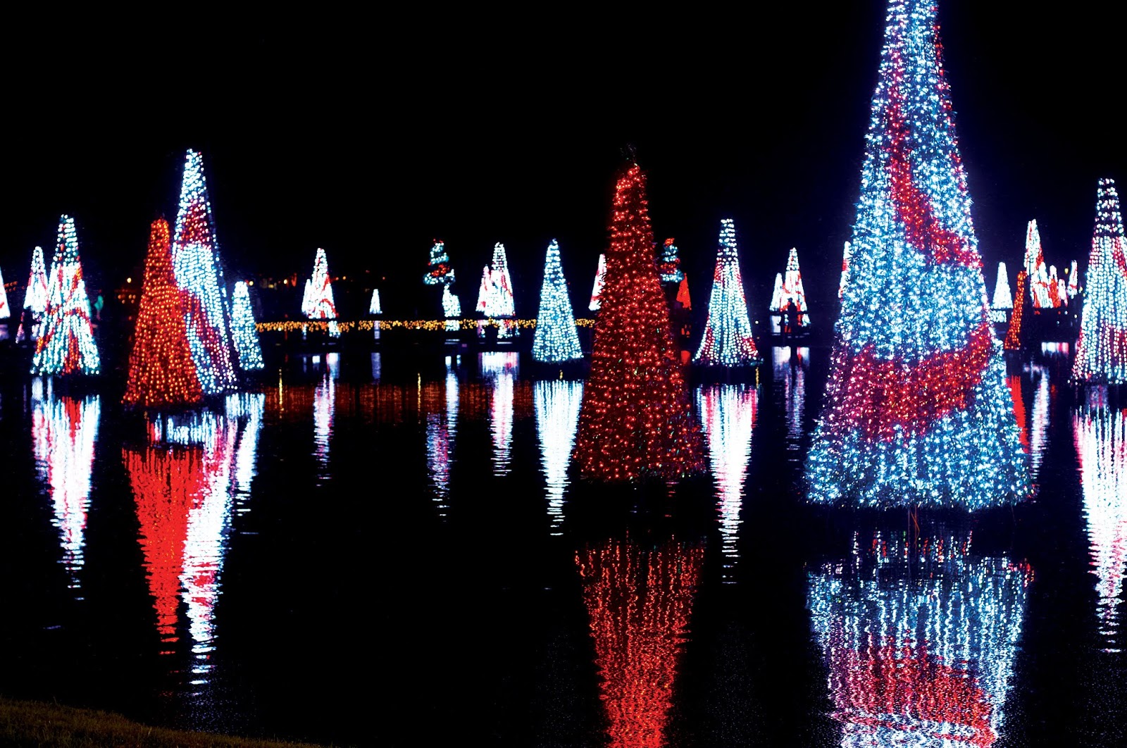 Axel Perez Blog SEAWORLD’S CHRISTMAS CELEBRATION Returns with Over 3