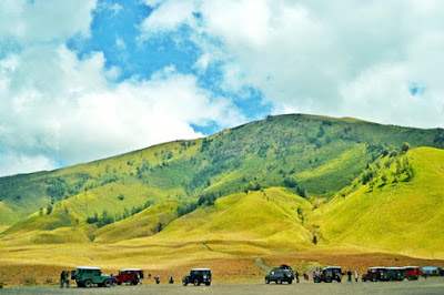 Wisata probolinggo, padang rumput savana Wisata probolinggo, padang rumput savana