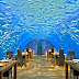 5 most unique attractions at Underwater World