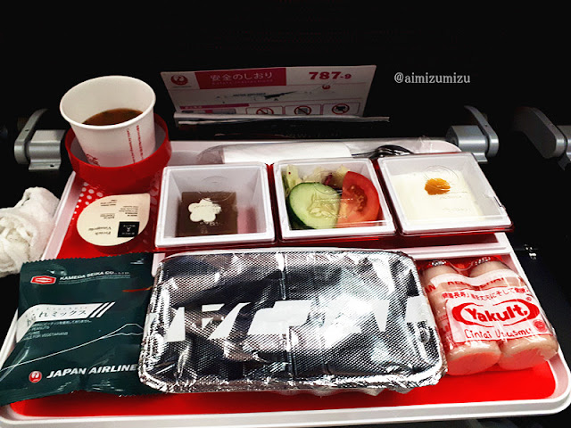 Review JAL ke Tokyo