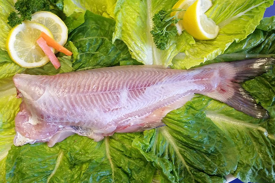 Dry Catfish Smoked, Smoked Catfish For Sale, Smoked Catfish Suppliers