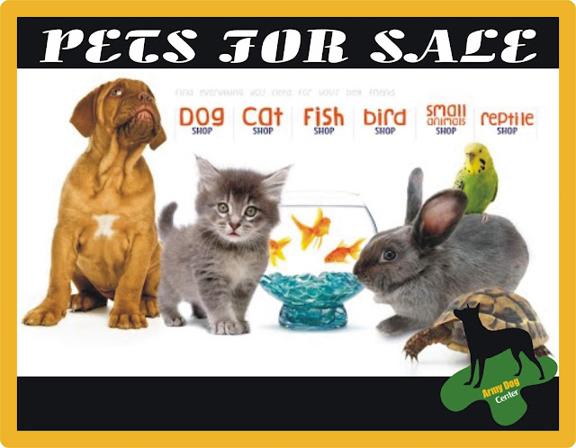 Pets For Sale