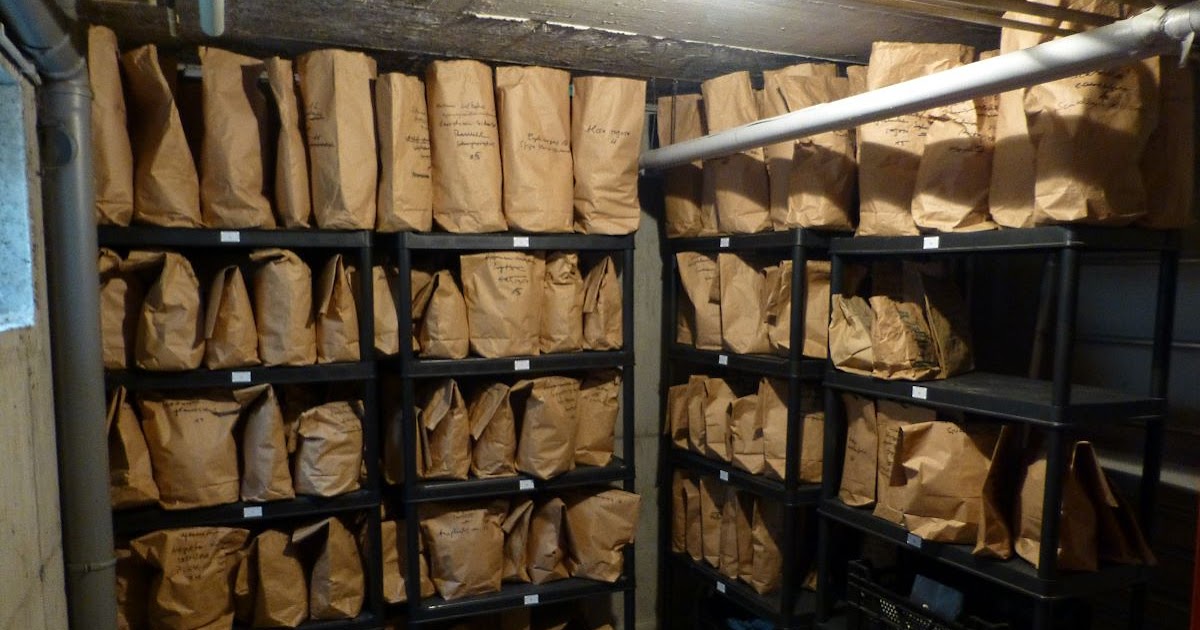 Saatgut-Vielfalt Blog: Lagerung von Saatgut