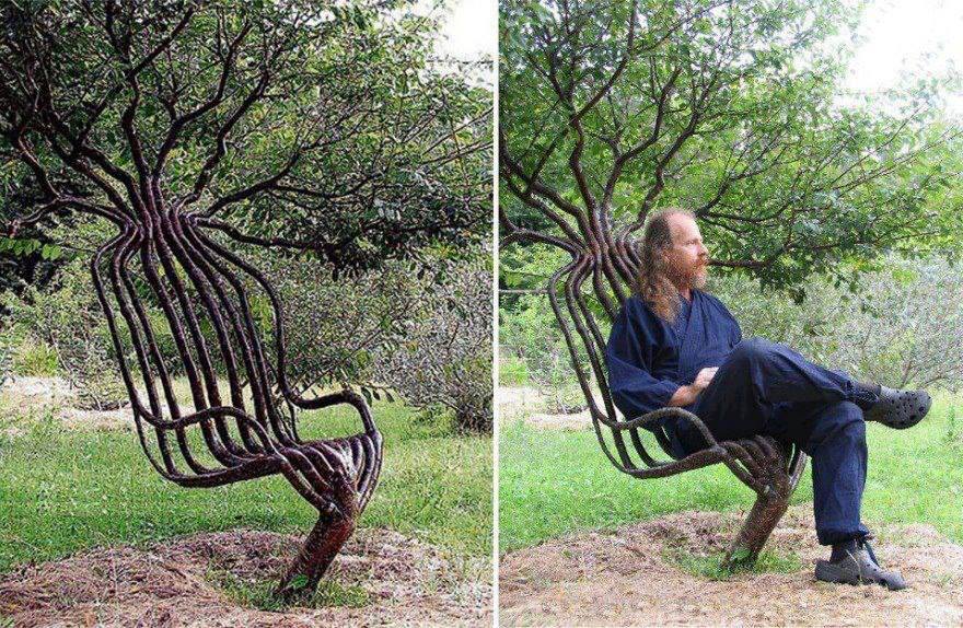 Sattrangi EMagazine living garden chair using tree shaping methods