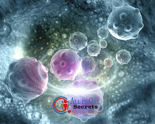 How Cancer Cells Grow and Spread? Live Healthy Live Long