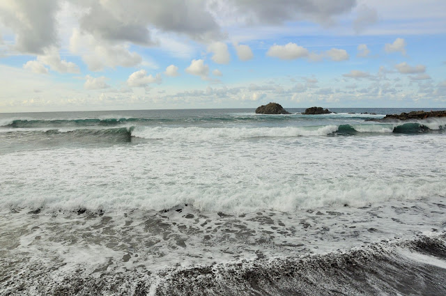 _DSC0202%2B%25282%2529.JPG