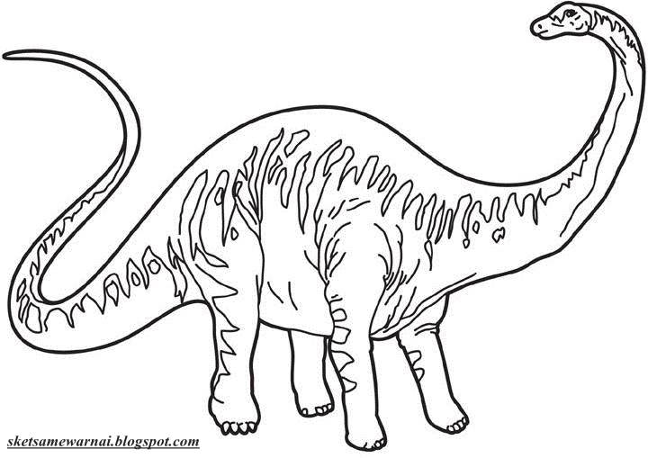 Sketsa Mewarnai Gambar Hewan DinoSaurus - Sketsa Mewarnai