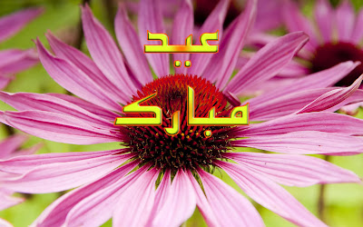 Eid Ul Zuha Adha Mubarak 2012 Card Flower Wallpapers Urdu Text 009