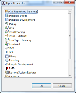 Choosing CVS Repository Exploring from perspective