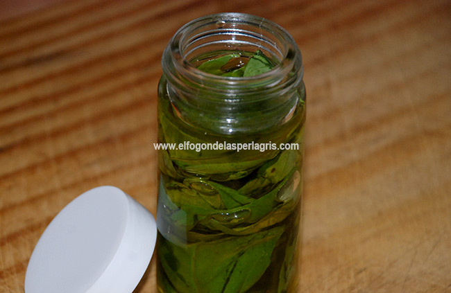 Albahaca en conserva Albahaca en conserva