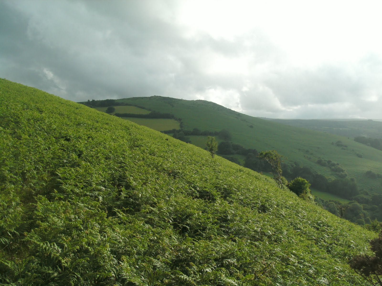 Lunar Hine Solstice Sex Partying And Hilltop Reflections 2688 | Hot Sex  Picture