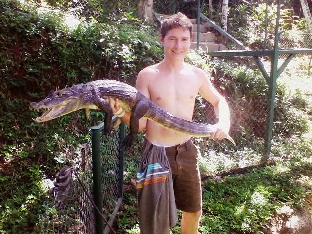 caiman