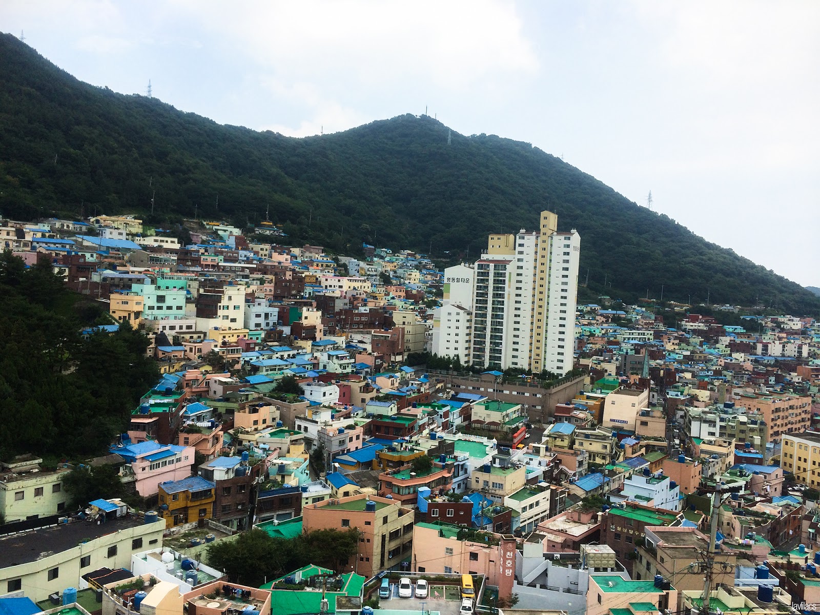 Seoul, Korea - Summer Study Abroad 2014 - Gamcheon Culture Village colorful homes
