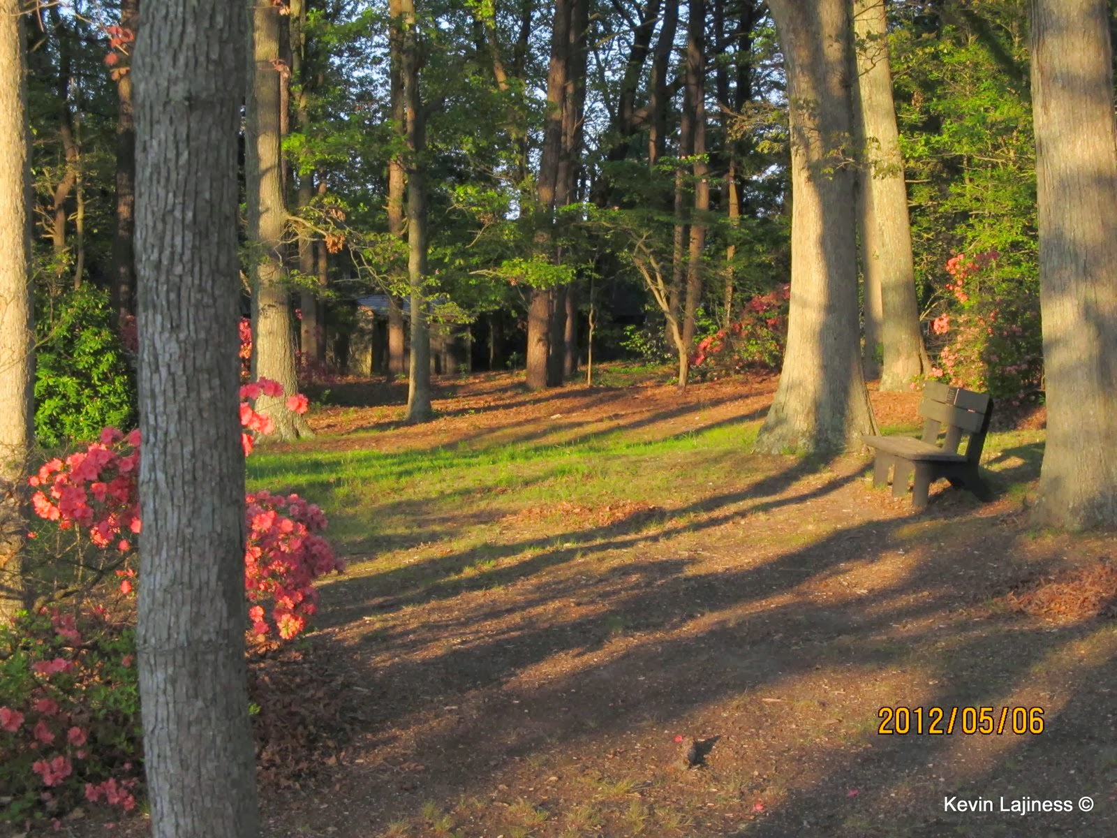 Dream Lady Hartshorne Park, Linwood, NJ Just a Beautiful Day