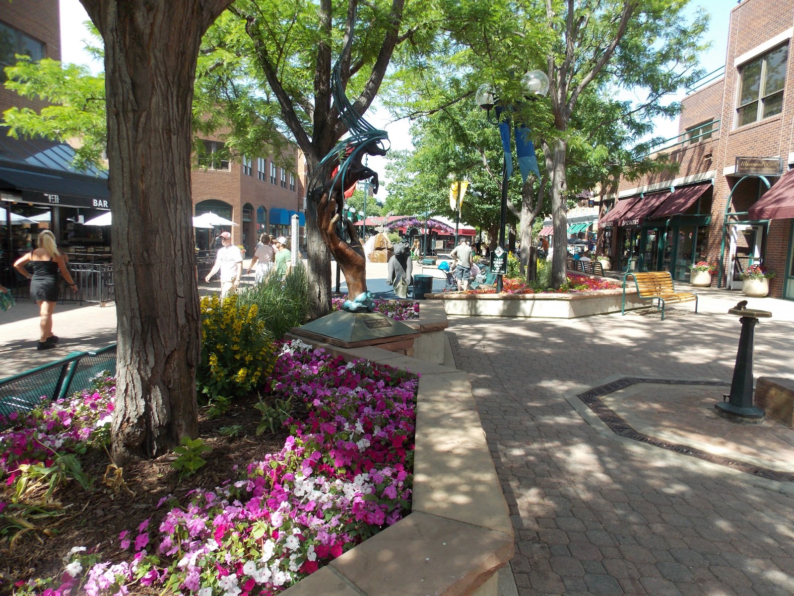 The Schramm Journey Fort Collins, Colorado