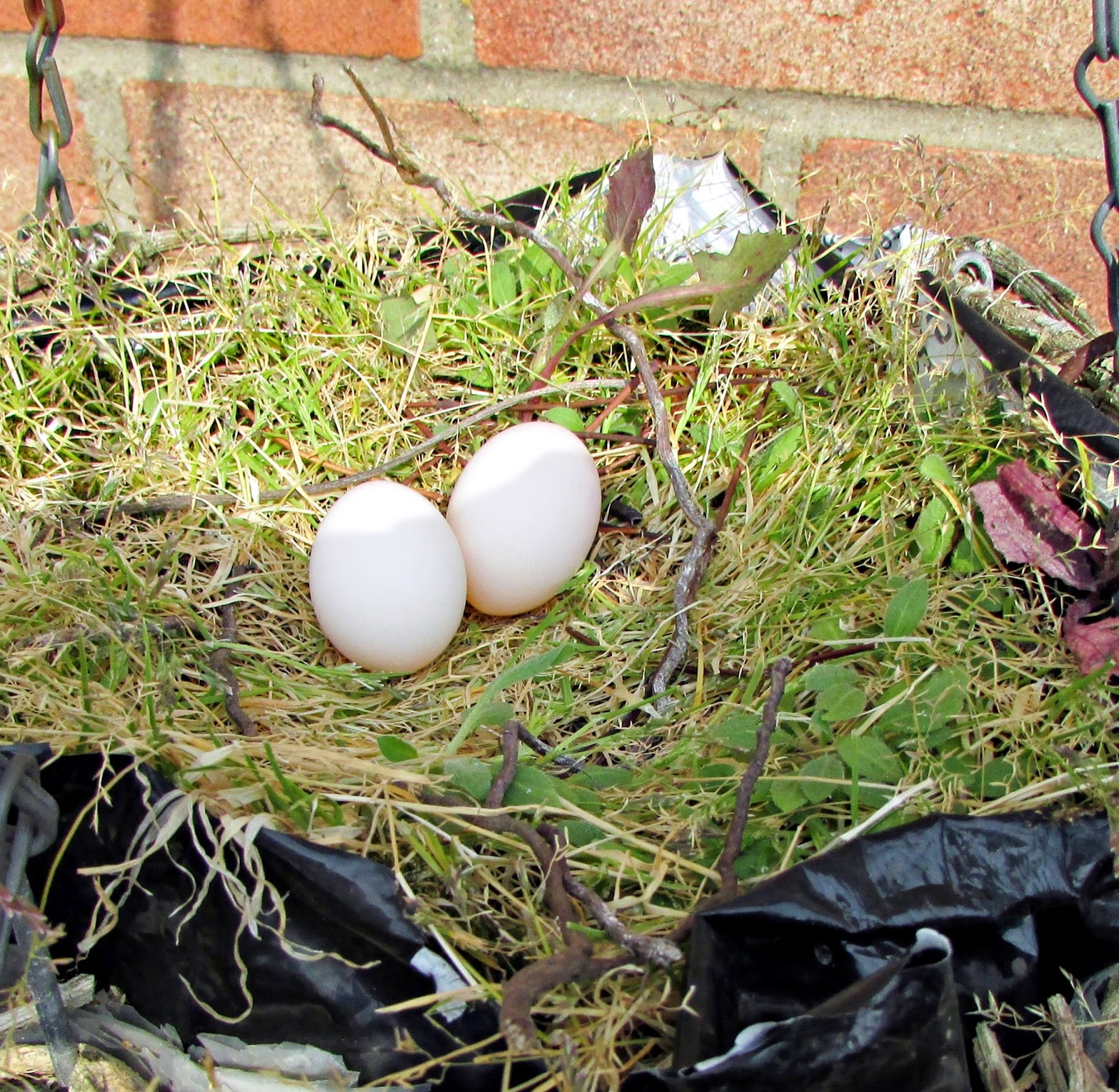 Handcrafted by Picto Collared Doves Nesting