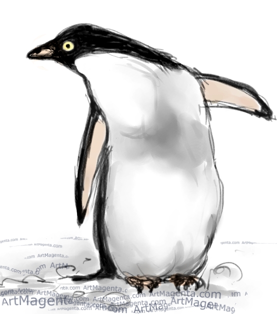 Birds: Adelie Penguin