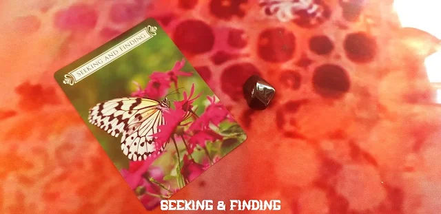 Butterfly oracle cards - Seeking and finding