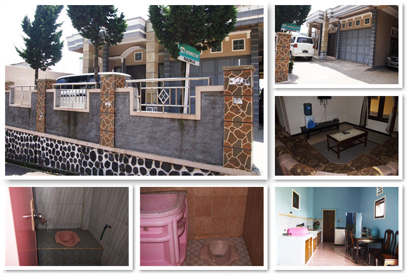 Homestay Sikunir Homestay Sikunir