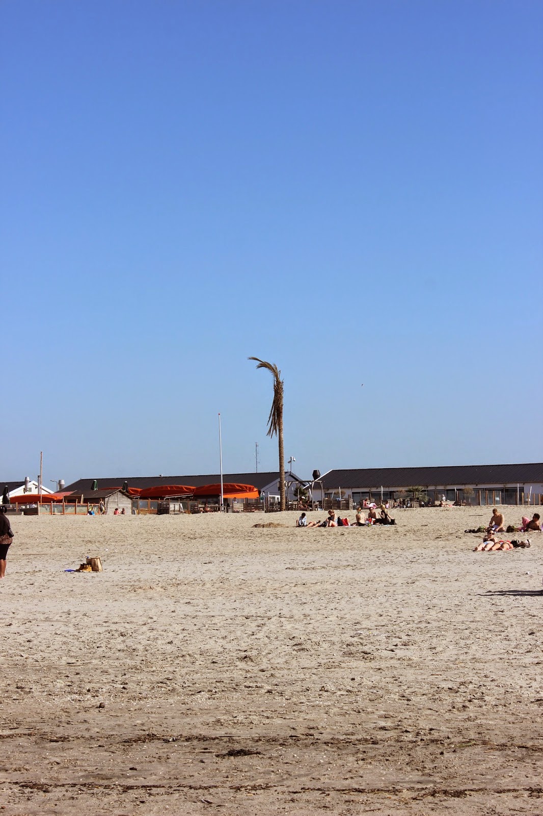 Hook of Holland beach Netherlands