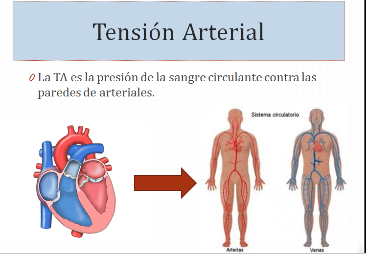 Salud y nutrición ) medir la