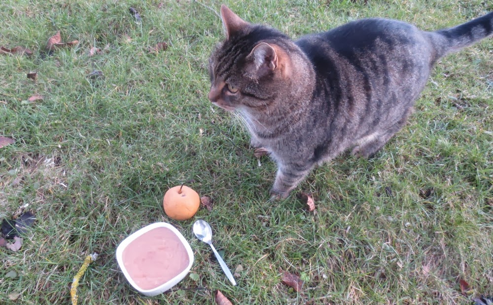 Barbaras Spielwiese Weihnachtliche Mousse Au Chocolat