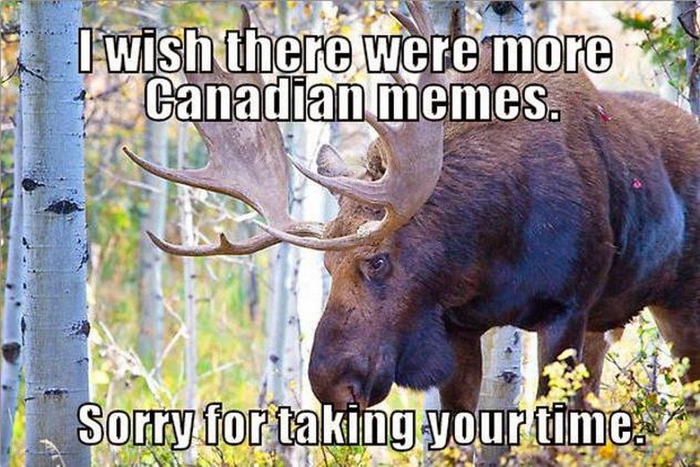 Awkward question. Pardon my french футболка. Take for granted. Mtv цитаты. Sorry фотографии.