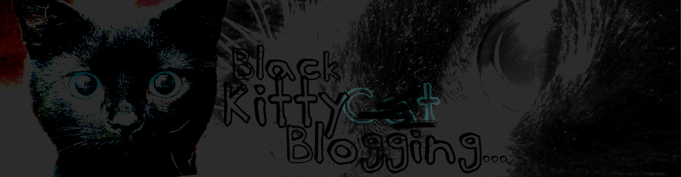 Black Cat Blogging | There's More To Life Than Cats!