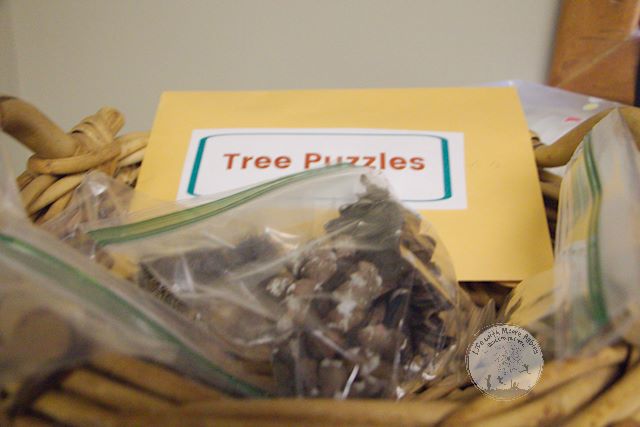 Tree puzzles and seeds as an escape room clue.