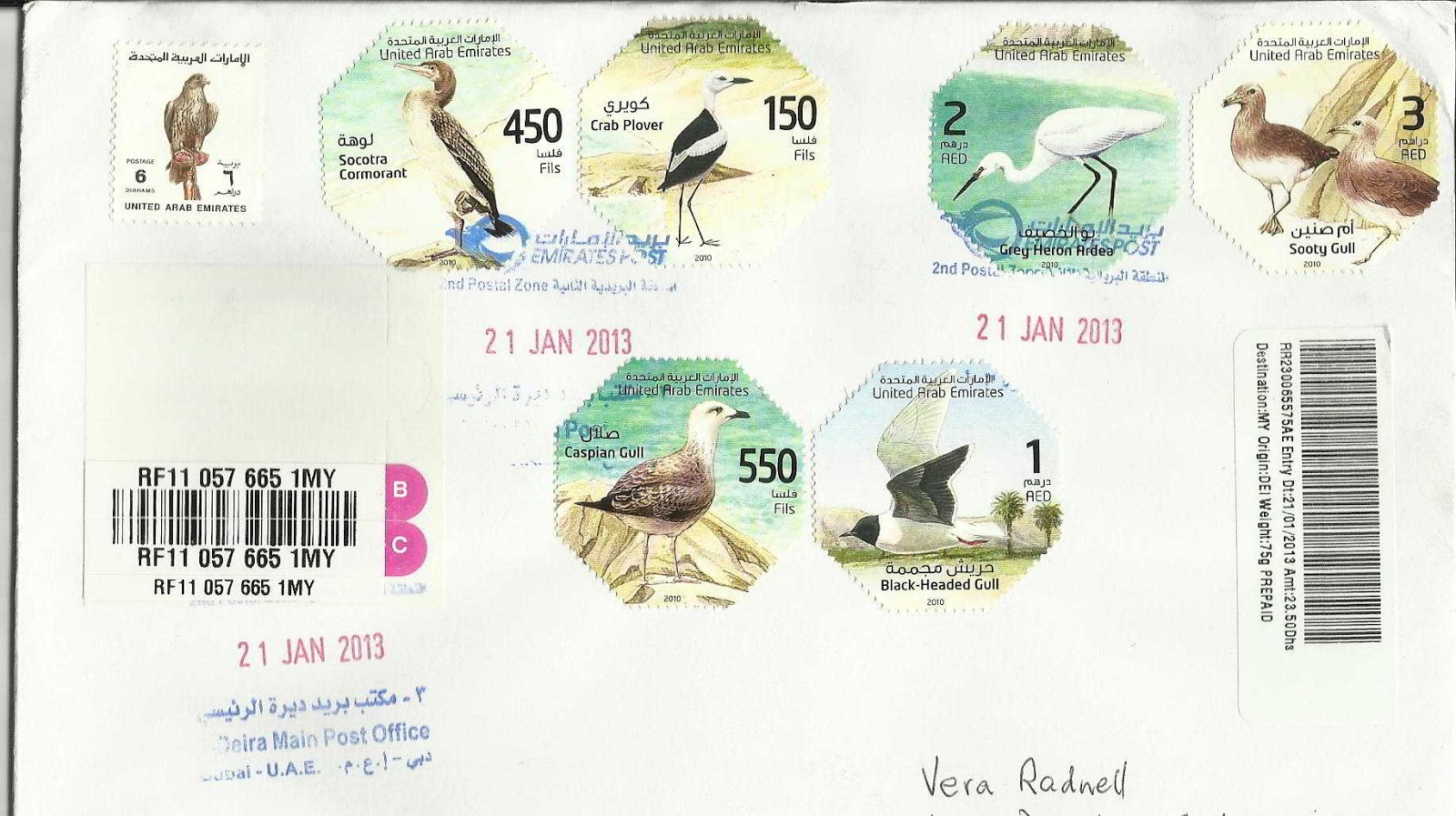 Traveling Birds UAESea Birds