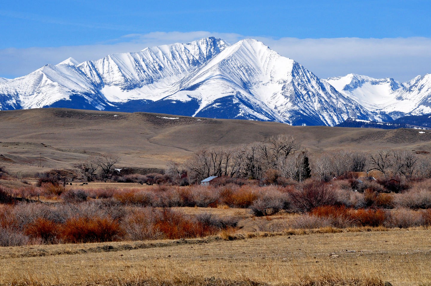 Lutefisk Uff da CREEK BOTTOMS