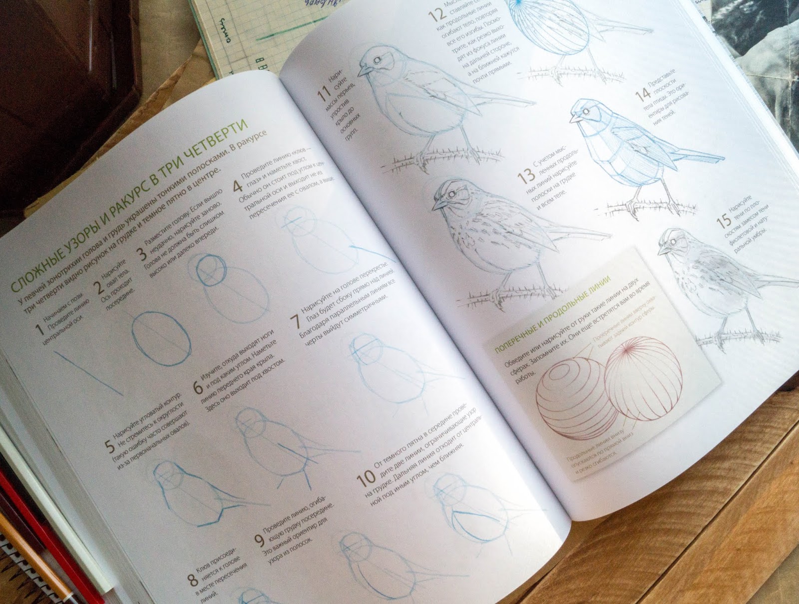 дневник художника. н купреянов "дневники художника". джон лоуз - дневник художника-натуралиста 2018. миф дневник художника. дневники художников читать.