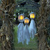 30 Spooky Halloween Outdoor Decorations to Scare Your Guests
