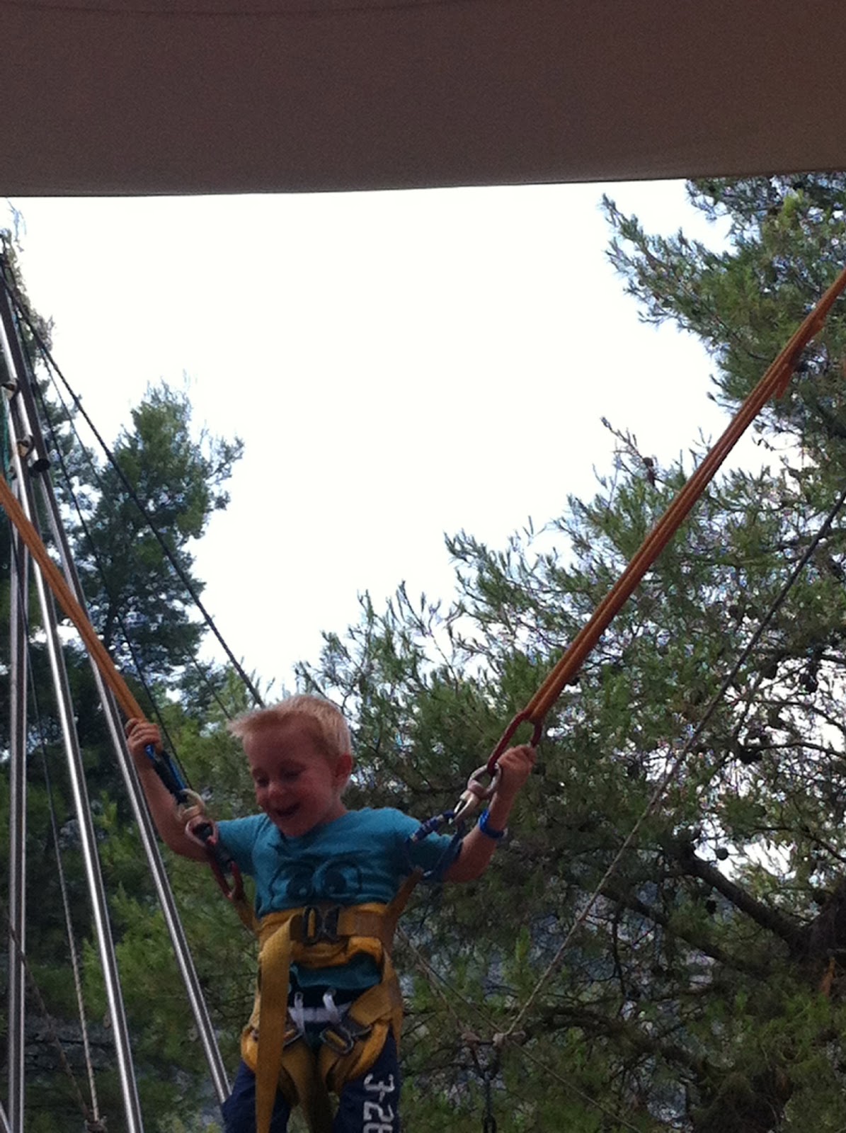 Yugowife's (and family) bits and bobs Adventure park!