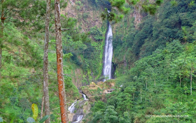 Curug Bajing dikelilingi hutan Curug Bajing dikelilingi hutan