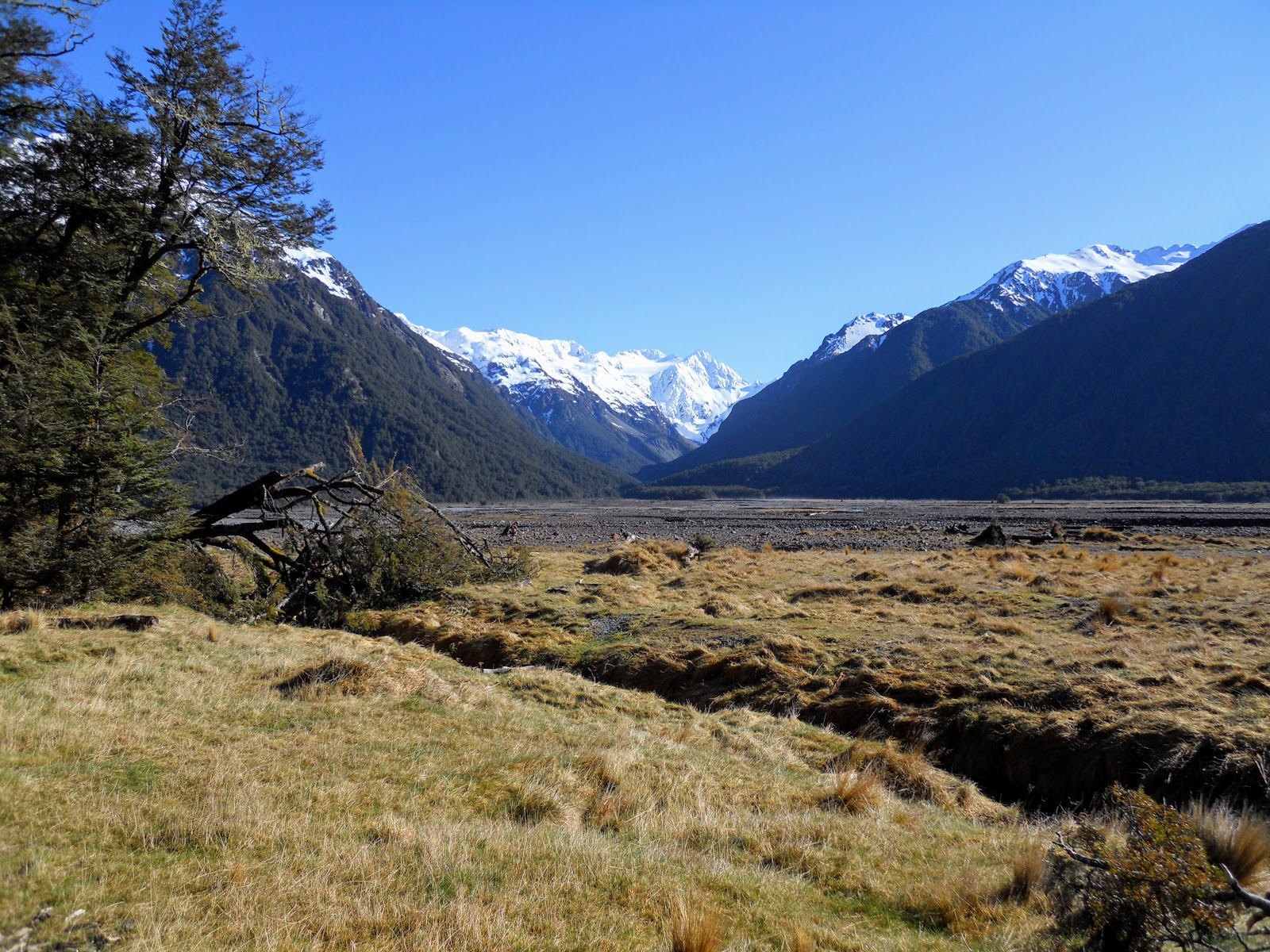 Tramping in the New Zealand backcountry NZ Bush Adventures Anti Crow