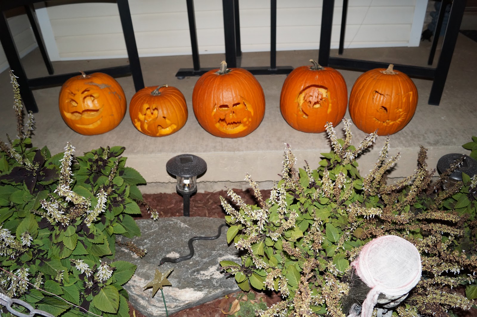 Must Run in the Family How to Clean and Preserve Pumpkins for Decoration