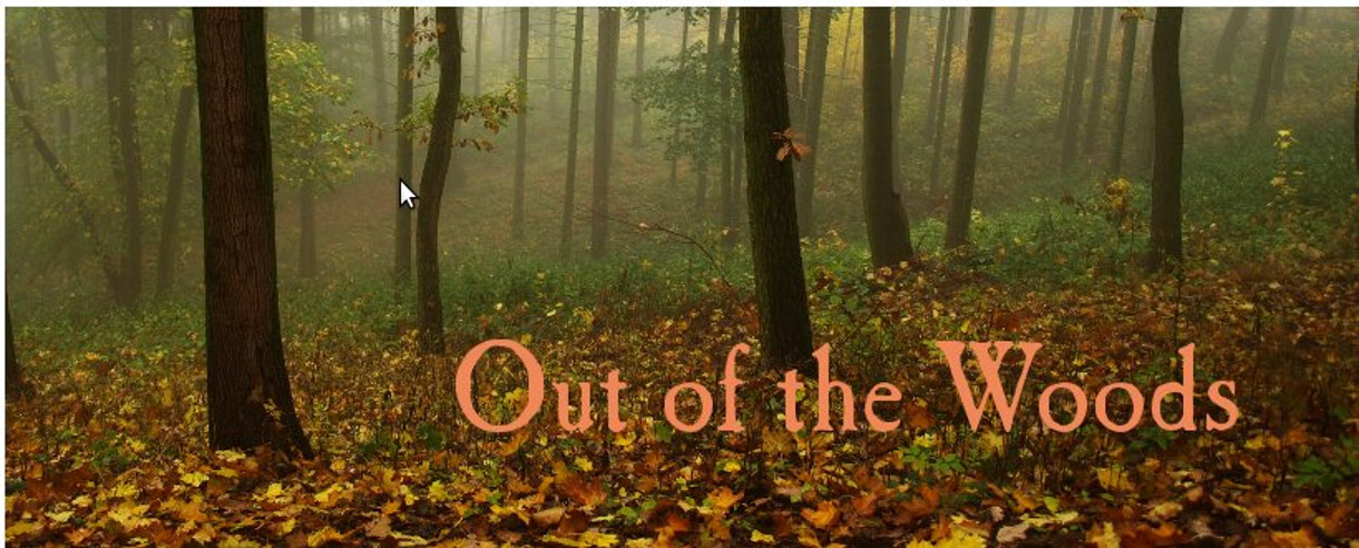 Out the woods