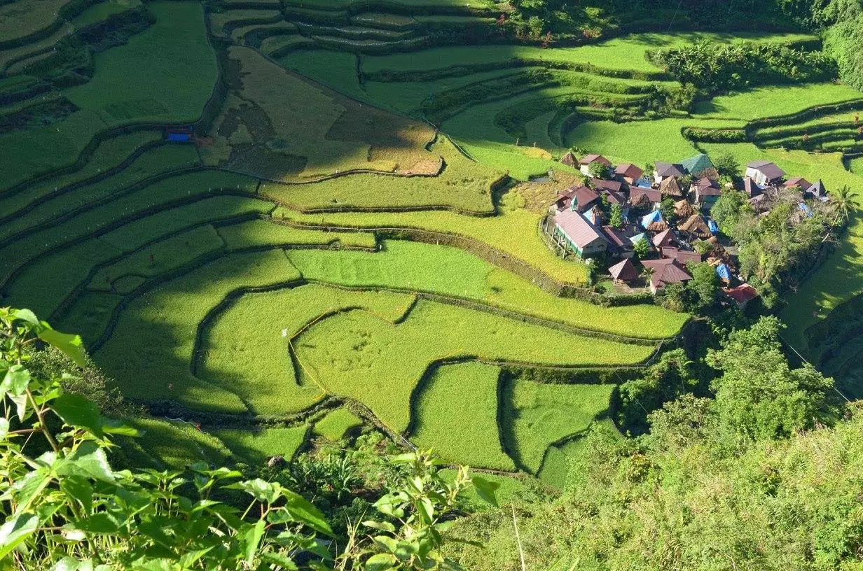 Bangaan Rice Terraces 8th Wonder Ifugao Cordillera Administrative Region Philippines