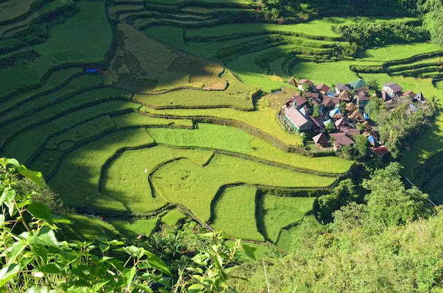 Bangaan Rice Terraces 8th Wonder Ifugao Cordillera Administrative Region Philippines