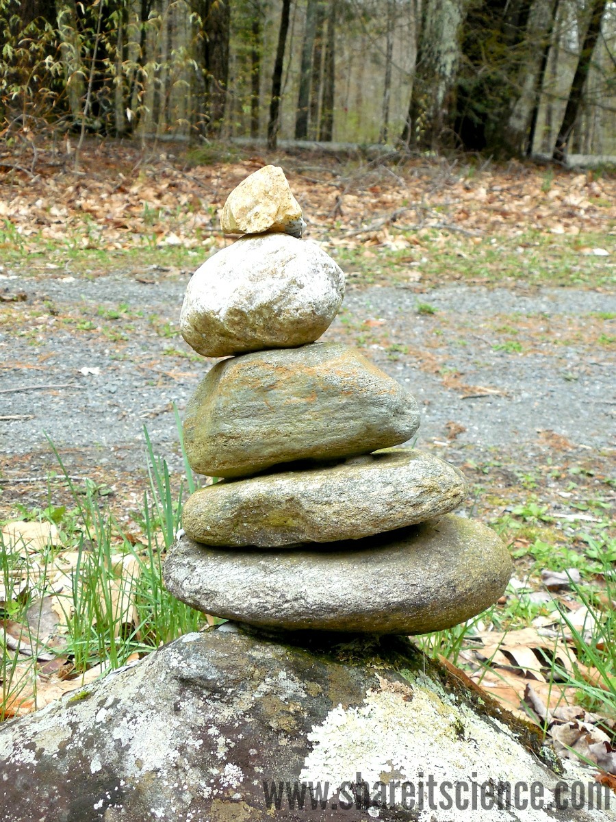 Share it! Science Nature Sculpture Engineering Challenges