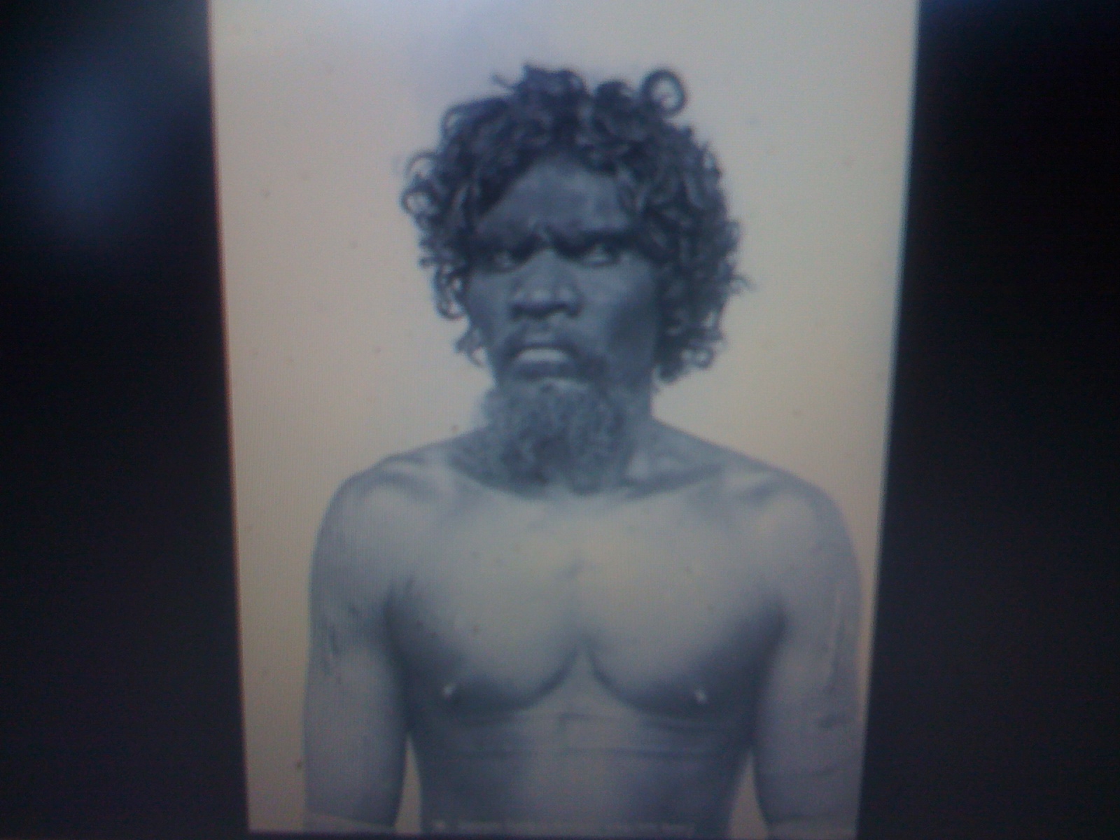 THE BLACK SOCIAL HISTORY BLACK SOCIAL HISTORY THE BLACK TASMANIANS