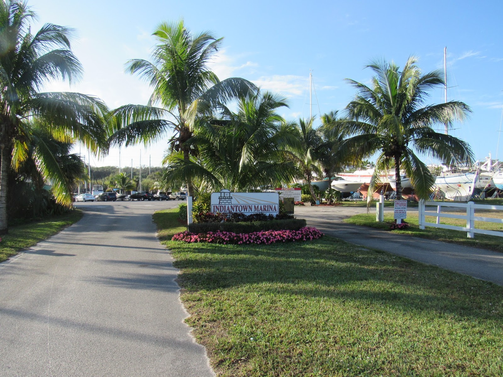 Deb's Blog Happy New Year from Indiantown, Florida