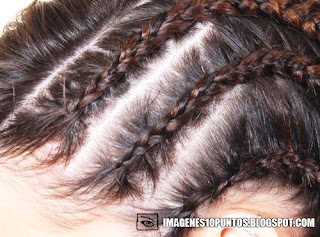 imagenes de trenzas imagenes de trenzas