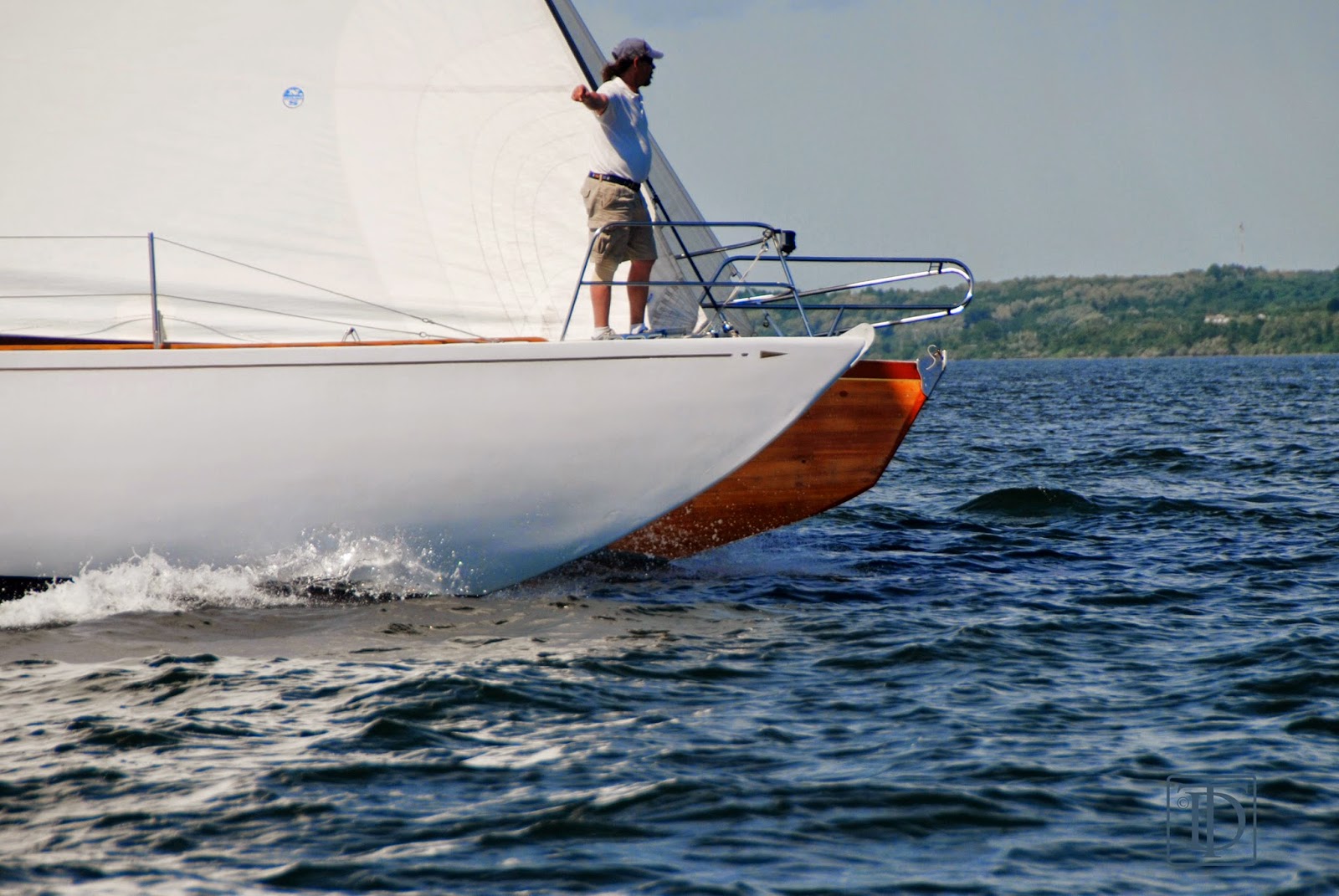newport yacht club racing