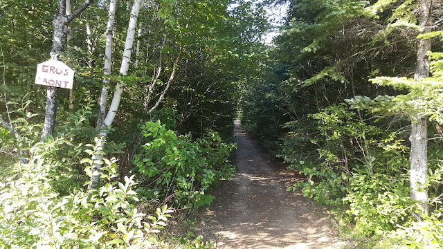 Sentier vers le mont des Morios