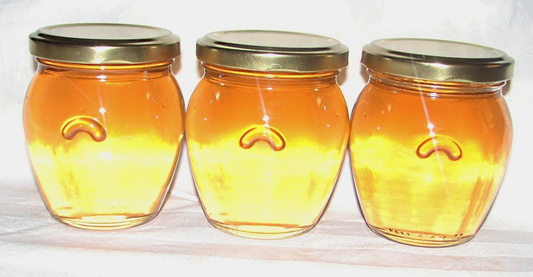 FOOD PRESERVING JellyMaking Problems & Solutions